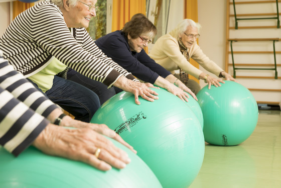 Eine Gruppe Seniorinnen macht Sportübungen mit einem Pezziball, Leistungen und Angebot in der Residenz am Wiesenkamp, Freizeitangebot, Hamburg-Volksdorf