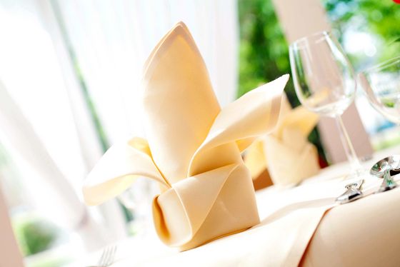 Eine gefaltete Servierte steht auf einem Tisch im Restaurant, Speiseversorgung Seniorenresidenz, Verpflegung im Altenheim, Restaurant in der Residenz am Wiesenkamp, Hamburg-Volksdorf Eine gefaltete Servierte steht auf einem Tisch im Restaurant, Speiseversorgung Seniorenresidenz, Verpflegung im Altenheim, Restaurant in der Residenz am Wiesenkamp, Hamburg-Volksdorf