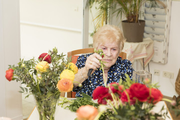 Eine Seniorin setzt Schnittblumen in eine Vase, was kann man in der Residenz am Wiesenkamp machen?, Freizeitprogramm, Sport für Seniorinnen und Senioren, Ausflüge, Unterhaltungsprogramm im Seniorenheim, Hamburg-Volksdorf