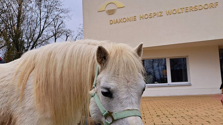 Pony zu Besuch im Diakonie Hospiz Woltersdorf